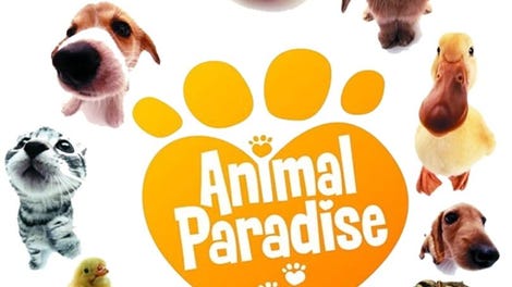 Animal Paradise