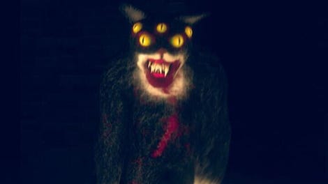 Cat Fred Evil Pet