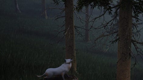 Survivalizm - The Animal Simulator