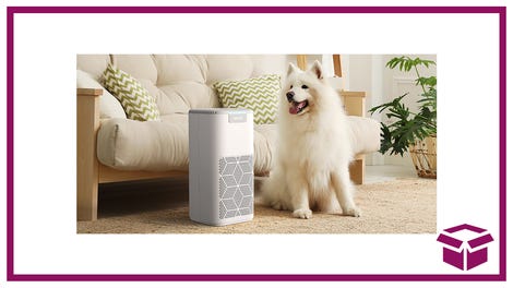 Breathe Easy – There’s a Clearance Sale on Air Purifiers Just in Time for Pollen Season