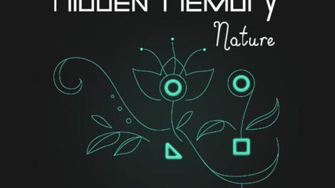Hidden Memory Nature