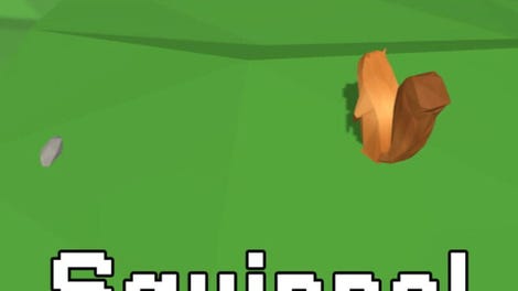 Squirrel Forest