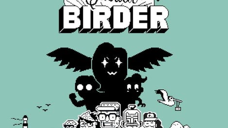 Casual Birder