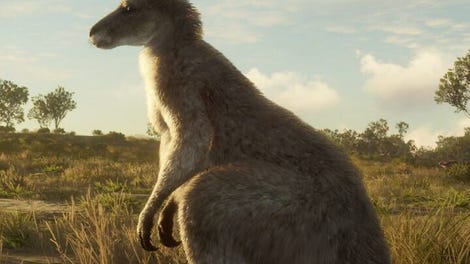 theHunter: Call of the Wild - Emerald Coast Australia