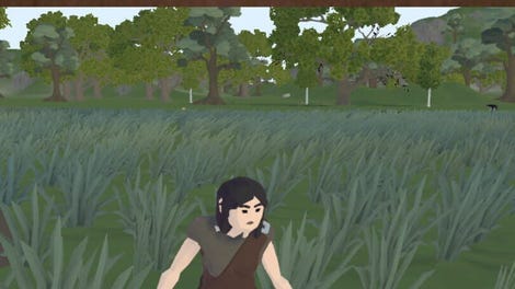 Primitive Survival