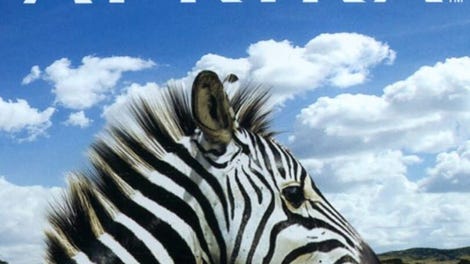Afrika