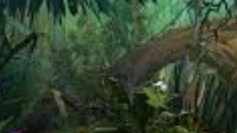 Rugrats Go Wild Wildlife Rescue