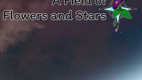 A Field of Flowers and Stars