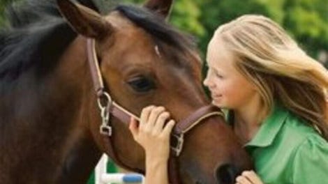 My Horse & Me