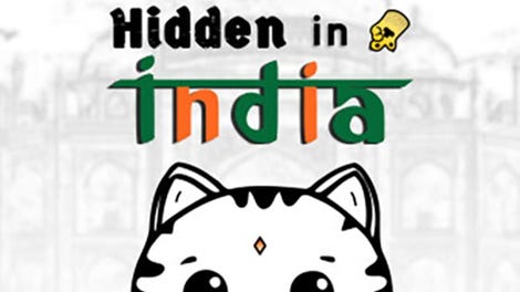 101 Cats Hidden in India