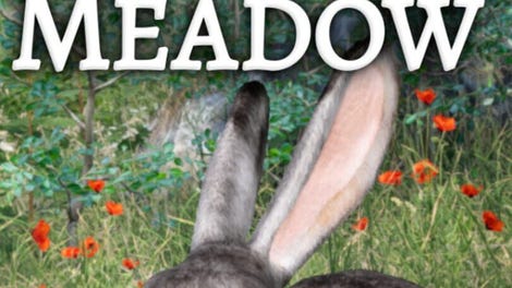 Rabbit Meadow