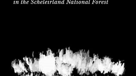 A List of People Who Went Missing in the Scheleirland National Forest