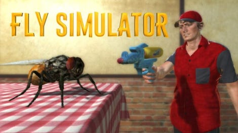 Fly Simulator
