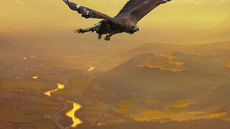 Freedom