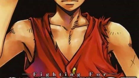 Fighting For One Piece