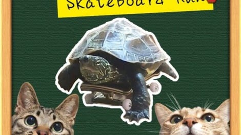 Gunso's Skateboard Run