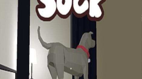The Missing Sock