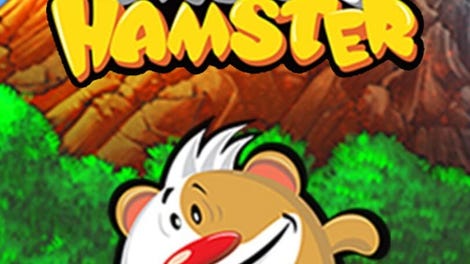 Crazy Hamster