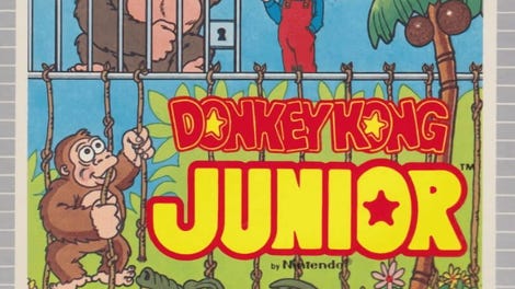 Donkey Kong Junior