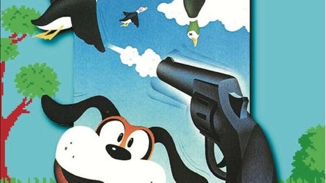 Duck Hunt