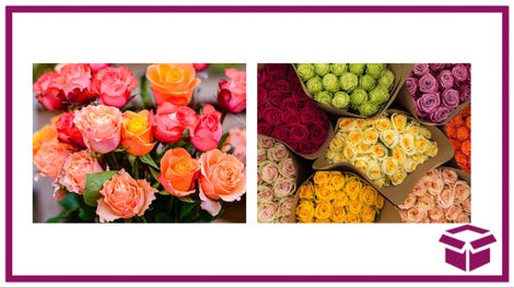 Surprise Mom This Mother’s Day With 24 Colorful Roses for $25