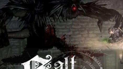 Salt and Sanctuary