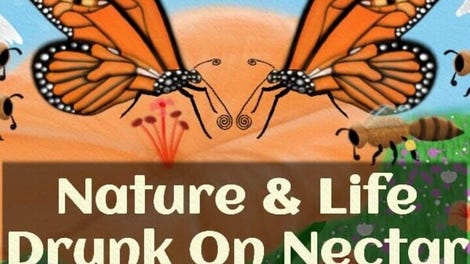 Drunk on Nectar