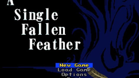 A Single Fallen Feather