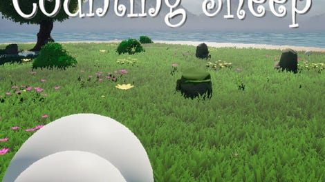 Sleeping: Counting Sheep