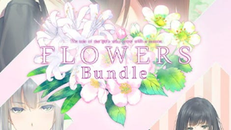 Flowers Bundle