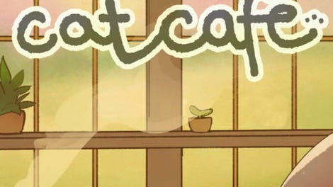 An Average Day at the Cat Cafe