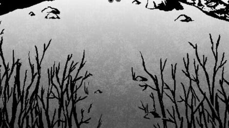 The River