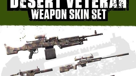 Insurgency: Sandstorm - Desert Veteran Weapon Skin Set