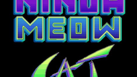 Ninja Meow Cat