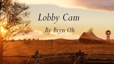Lobby Cam by Bryn Oh