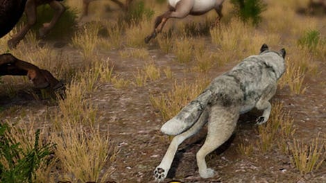 WolfQuest: Anniversary Edition