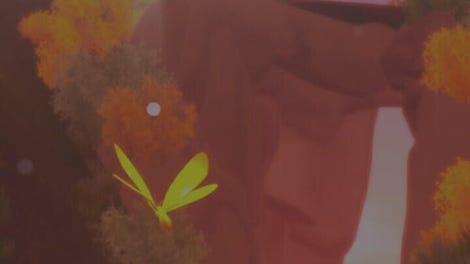 Butterfly Simulator