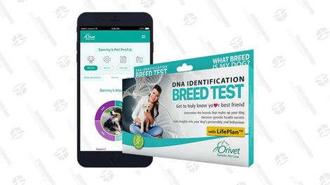 Orivet Dog DNA Test