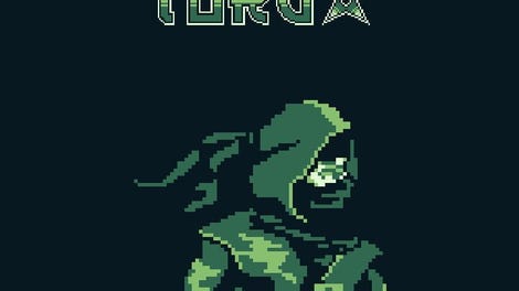 Ninja Master Toru