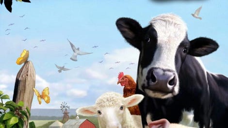 Wildlife Park 2: Farm World
