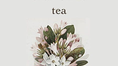 Rain & Chamomile Tea