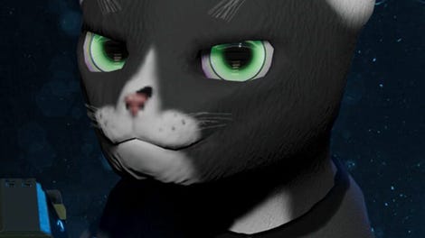 Cat Warfare