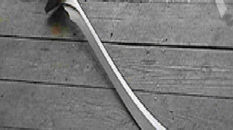 Scimitar