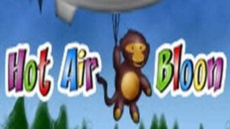 Hot Air Bloon