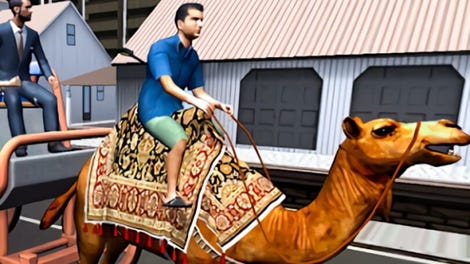 Passenger Camel Taxi Driving