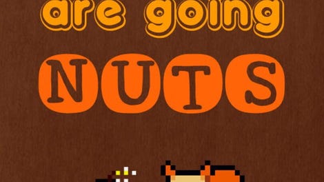 Squirrels are going nuts