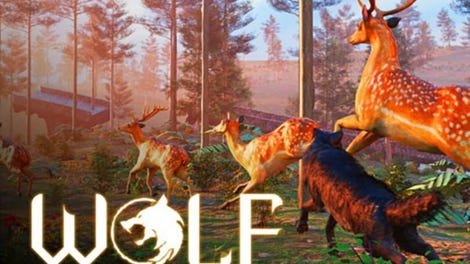 Wolf Simulator