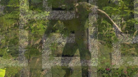 The Maze