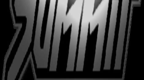 Summit: Virtual Pro-Wrestling Gamma