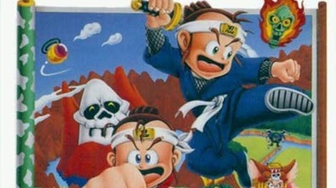 Little Ninja Brothers